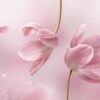 Rose Musk 2